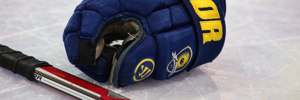 Bildausschnitt Hockeystock und Hockey-Handschuh