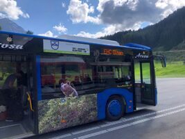 Der Arosa Bus ist für den Transport des EHC Olten in Arosa eigens angeschrieben.